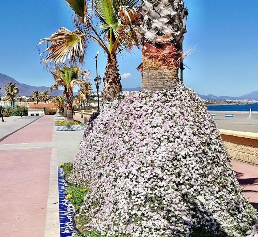 28 Mikonos Playa In Puerto De La Duquesa 2 Bed 2 Bath Apartment Ideally Located To The Beach & Marina Castillo de Sabinillas Exteriör bild